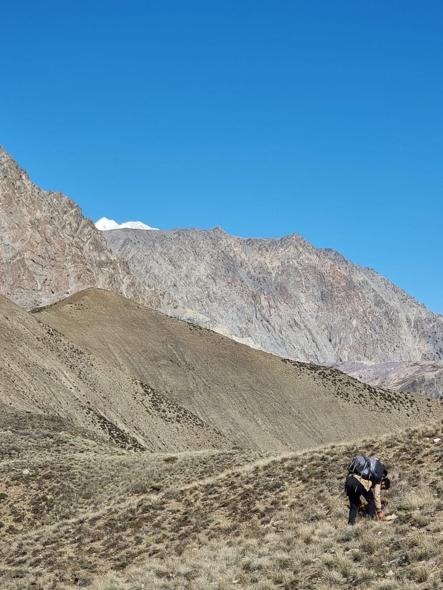 3 days trek from Chitral Town to Birmoghlasht (CGNP)